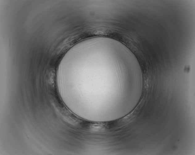 X0000114400175200911061546