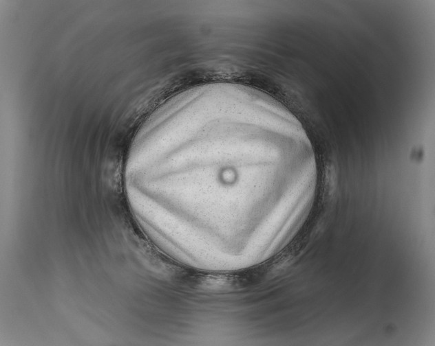 X0000114400177200911061546