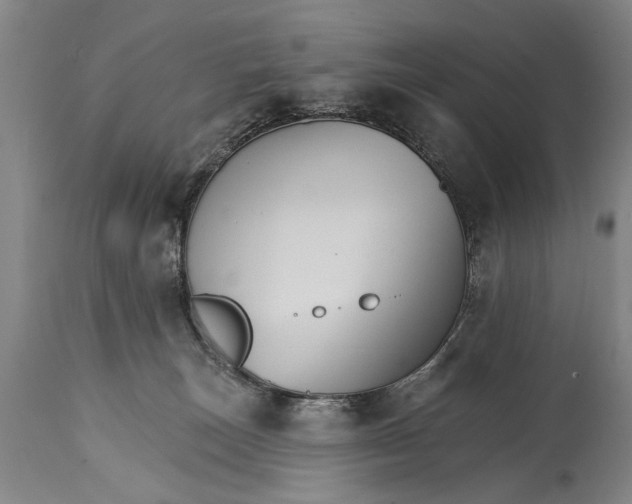 X0000114400179200911061546