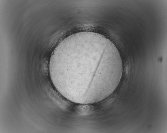 X0000114400181200911061546