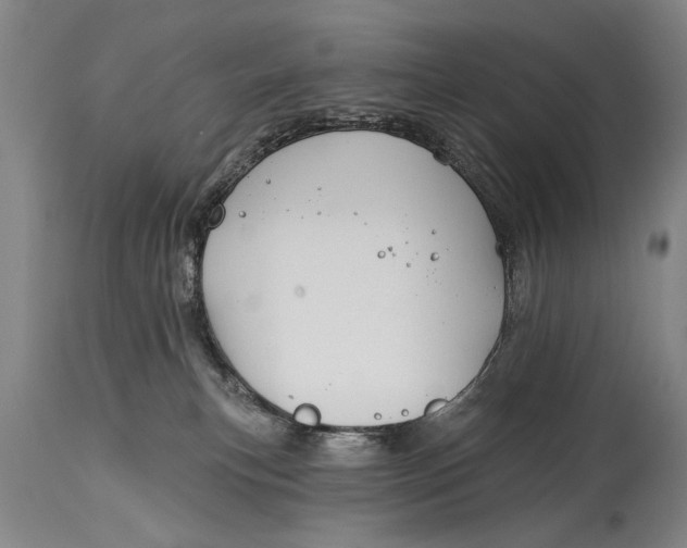 X0000114400183200911061546