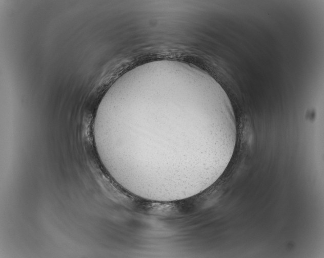 X0000114400185200911061546