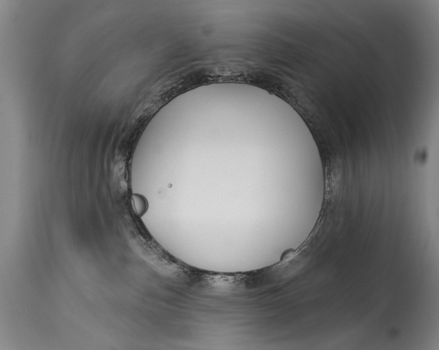 X0000114400187200911061546