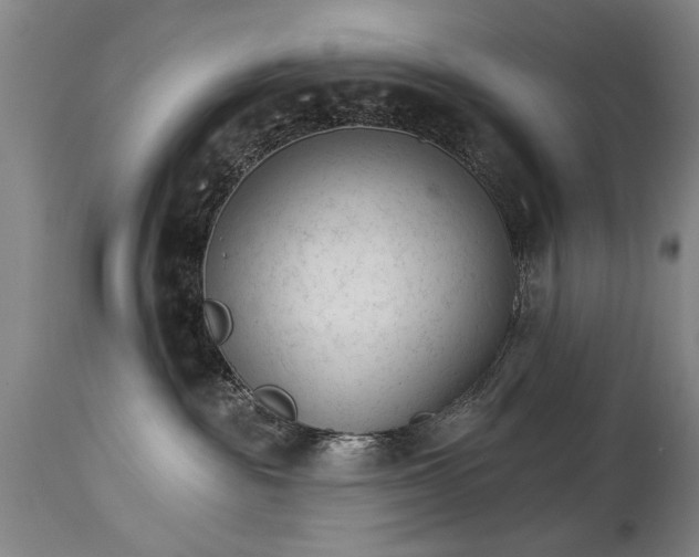 X0000114400189200911061546