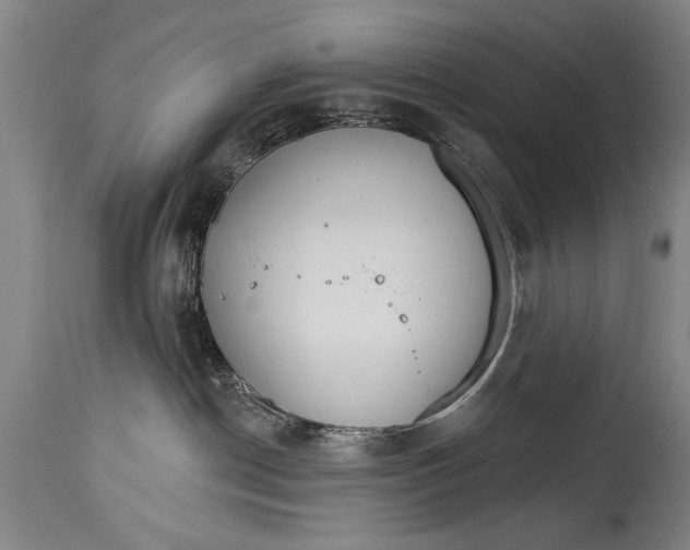 X0000114400190200911061546