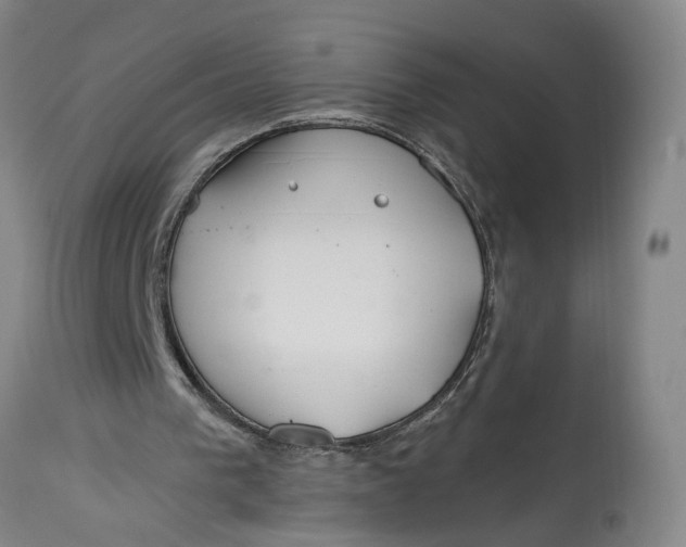 X0000114400193200911061545