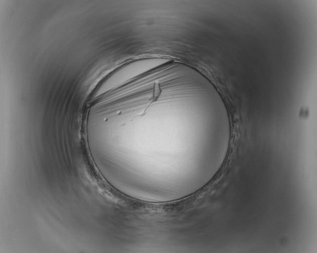 X0000114400194200911061545