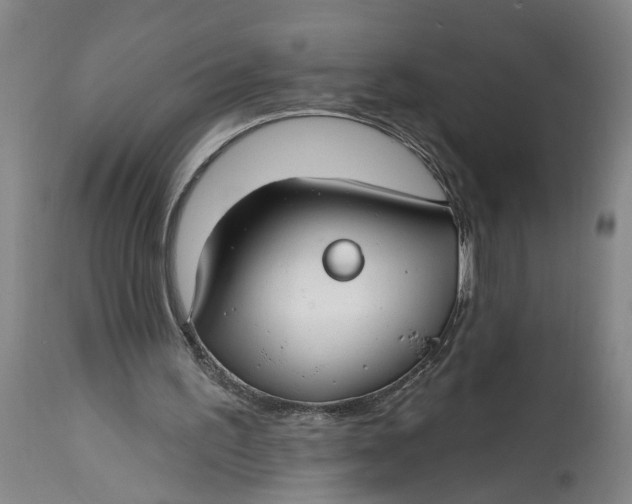 X0000114400195200911061545