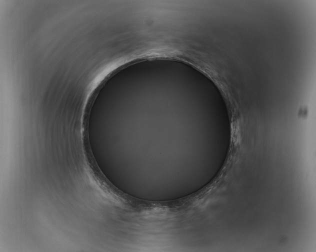 X0000114400196200911061545