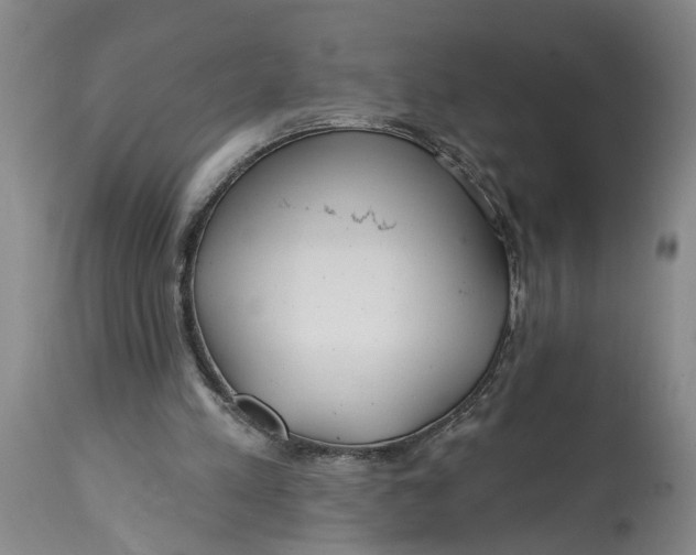 X0000114400197200911061545