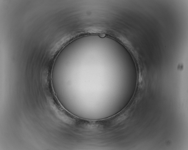 X0000114400201200911061545