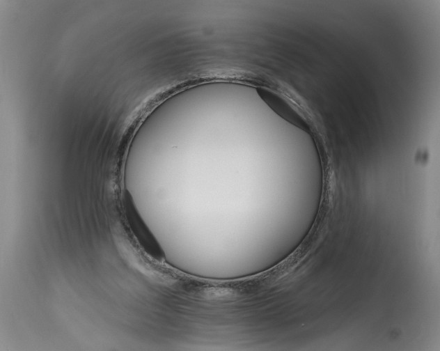 X0000114400203200911061545