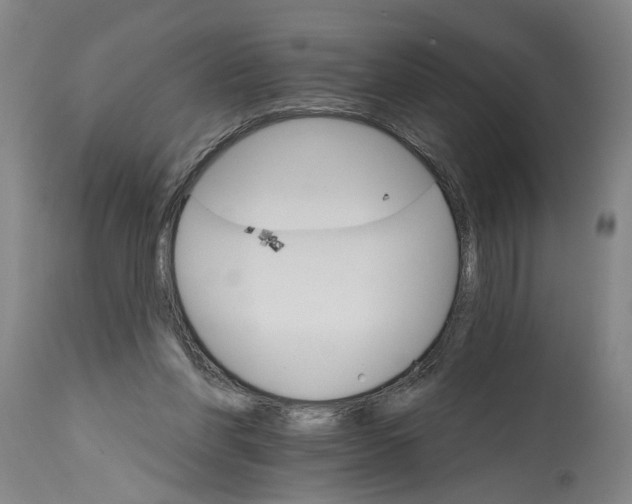 X0000114400206200911061545