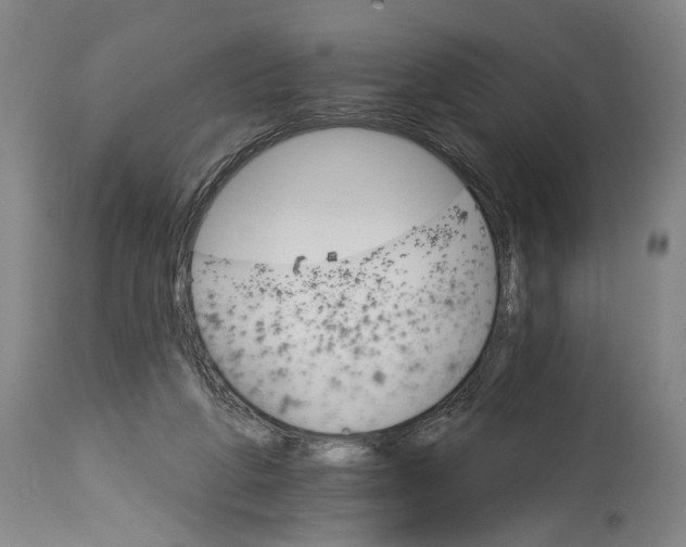 X0000114400210200911061545