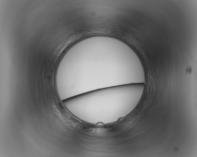 X0000114400212200911061545