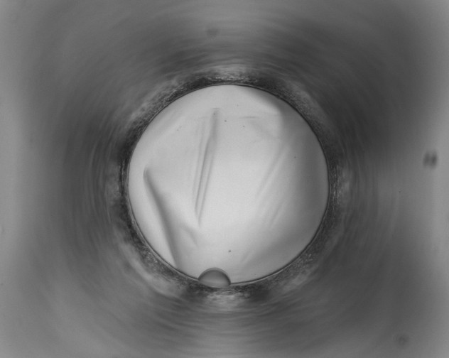 X0000114400213200911061545