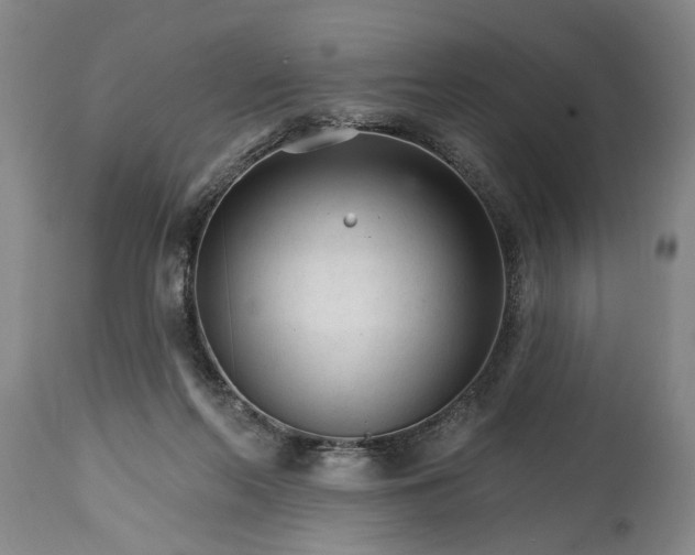 X0000114400214200911061545