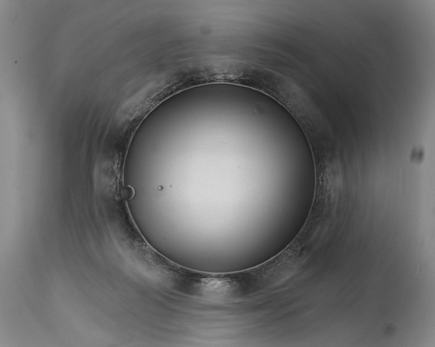 X0000114400218200911061545