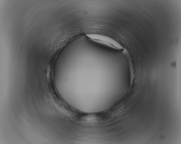 X0000114400219200911061545