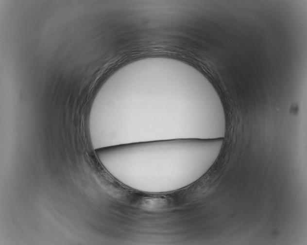 X0000114400220200911061545