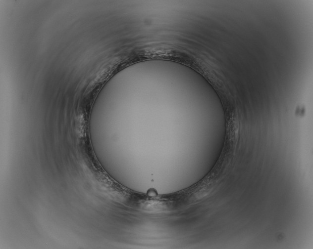 X0000114400224200911061545