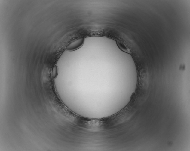 X0000114400225200911061545