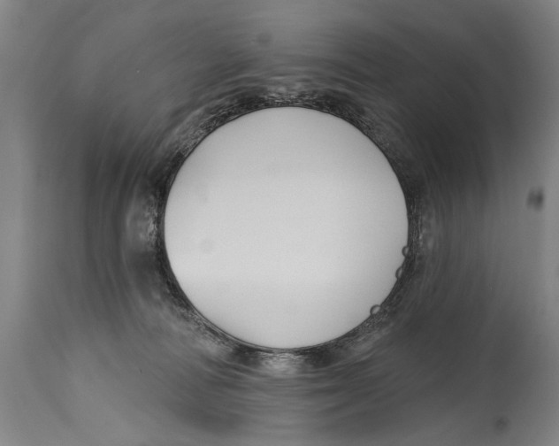 X0000114400226200911061545