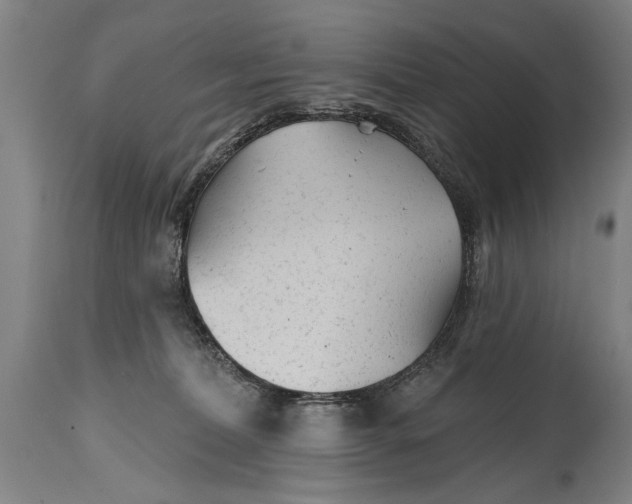 X0000114400228200911061545