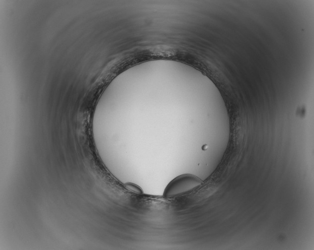 X0000114400229200911061545