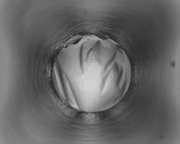 X0000114400230200911061545