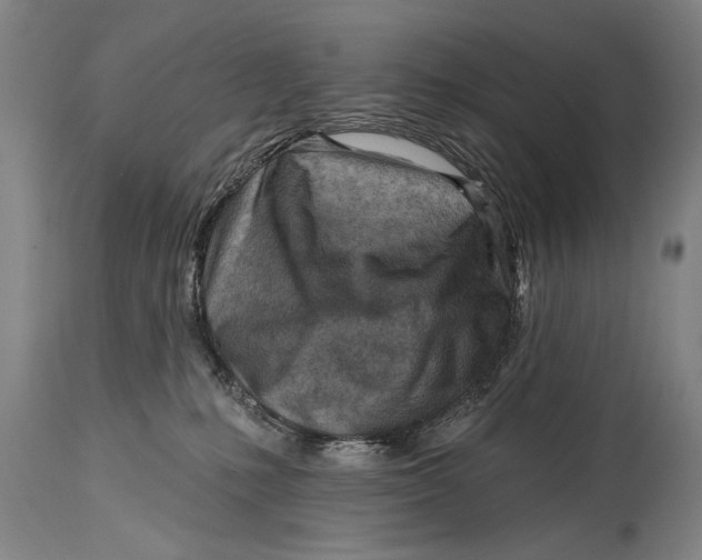 X0000114400231200911061545