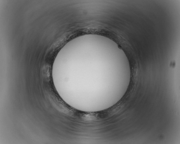 X0000114400232200911061545