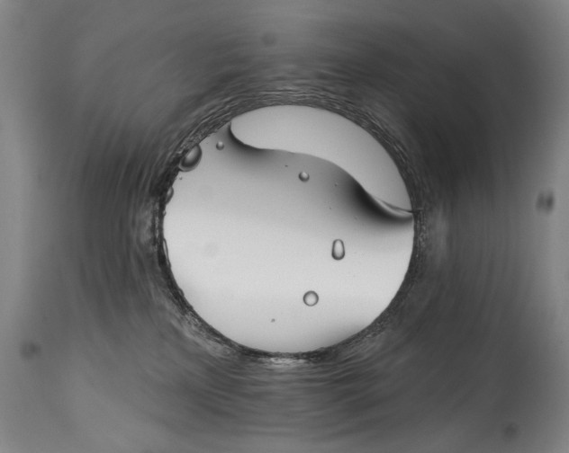 X0000114400233200911061545