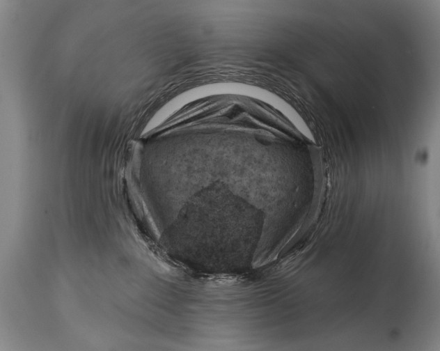 X0000114400235200911061545