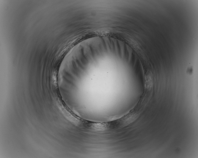 X0000114400238200911061545