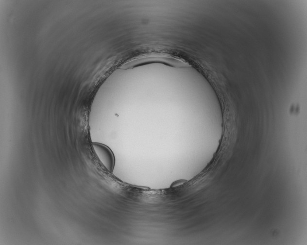 X0000114400240200911061545