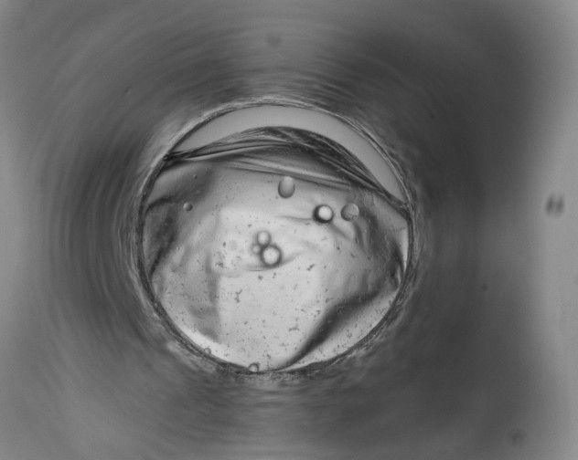 X0000114400241200911061544