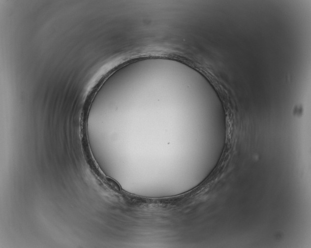 X0000114400244200911061544