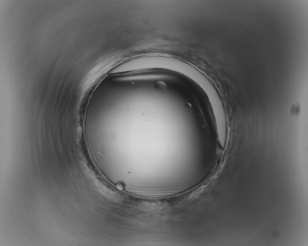 X0000114400245200911061544