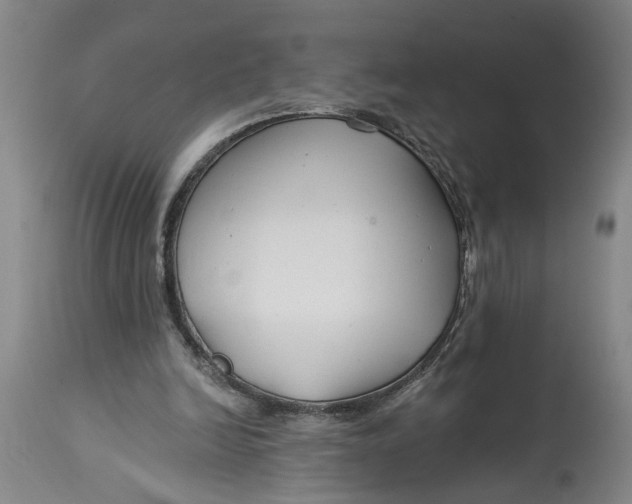 X0000114400246200911061544