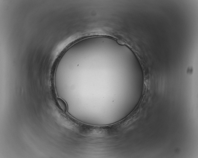 X0000114400248200911061544