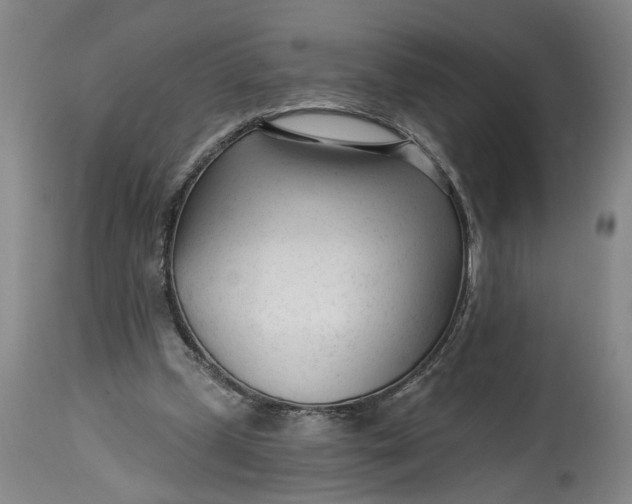 X0000114400249200911061544