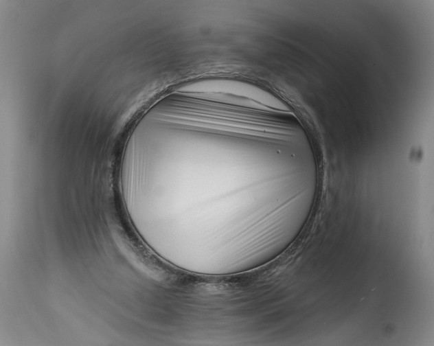 X0000114400250200911061544