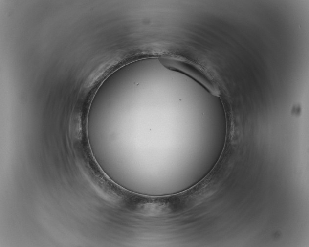 X0000114400251200911061544