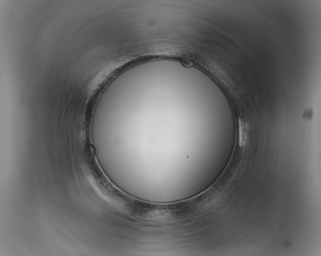 X0000114400252200911061544