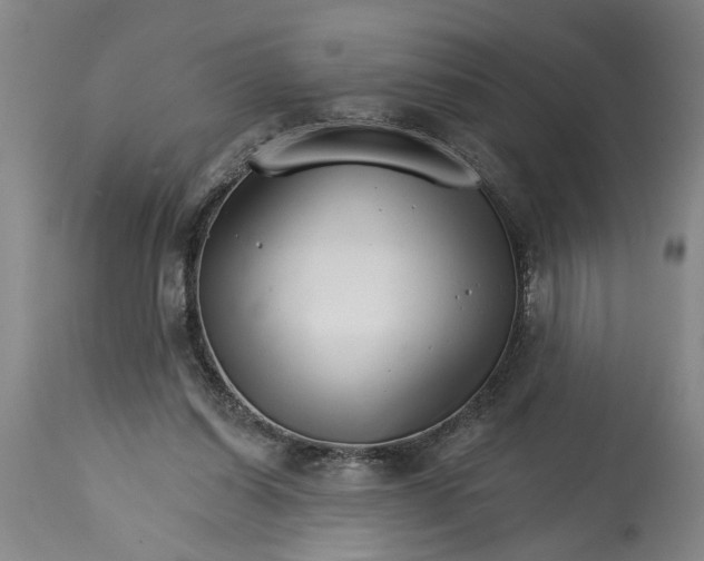 X0000114400254200911061544