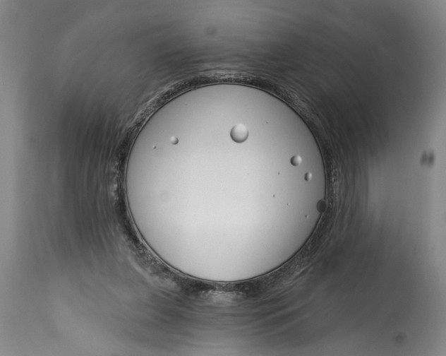 X0000114400255200911061544