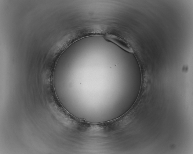 X0000114400257200911061544