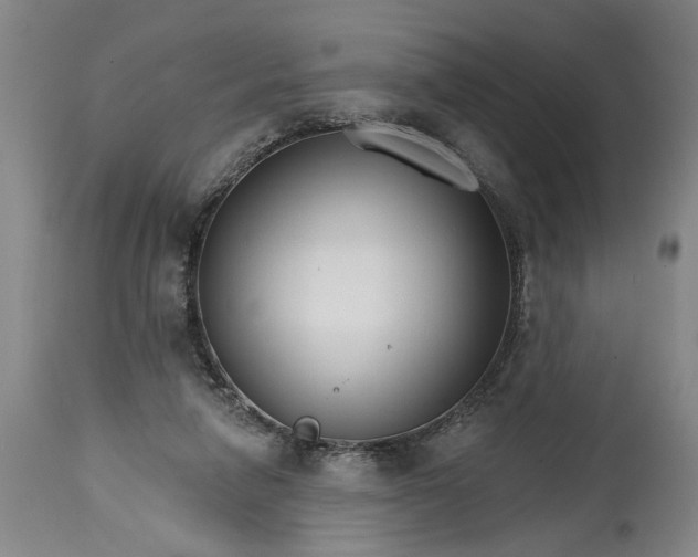 X0000114400258200911061544