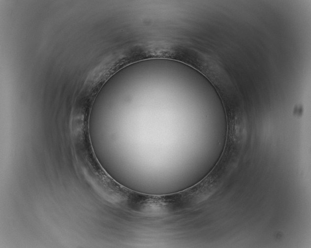 X0000114400263200911061544